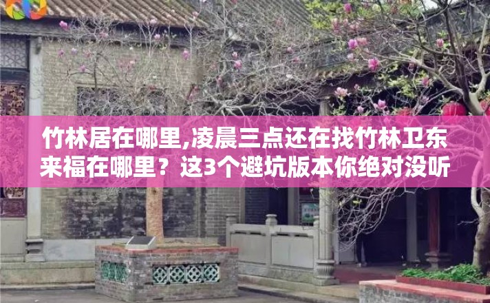 竹林居在哪里,凌晨三点还在找竹林卫东来福在哪里？这3个避坑版本你绝对没听过