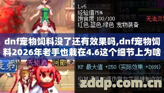 dnf宠物饲料没了还有效果吗,dnf宠物饲料2026年老手也栽在4.6这个细节上为啥没人说？
