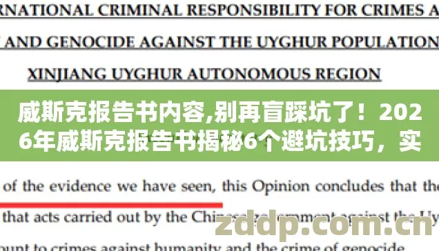 威斯克报告书内容,别再盲踩坑了！2026年威斯克报告书揭秘6个避坑技巧，实测防跑路指南看完直接选？