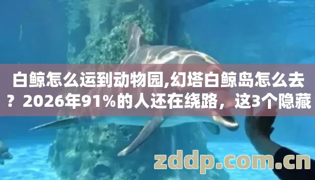 白鲸怎么运到动物园,幻塔白鲸岛怎么去？2026年91%的人还在绕路，这3个隐藏入口才是真捷径